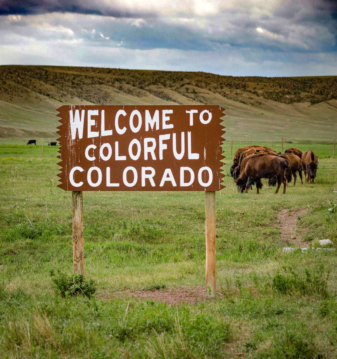 Colorado Food Gifts: A Local Maker's List
